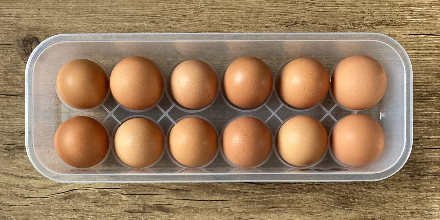 Reusable Egg Cartons